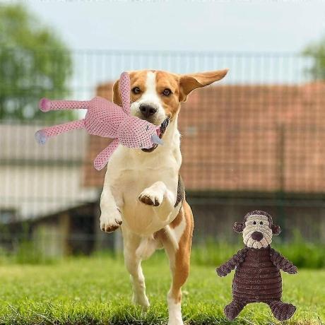 Hundespielzeug große Hunde: Worauf Sie beim Kauf achten sollten